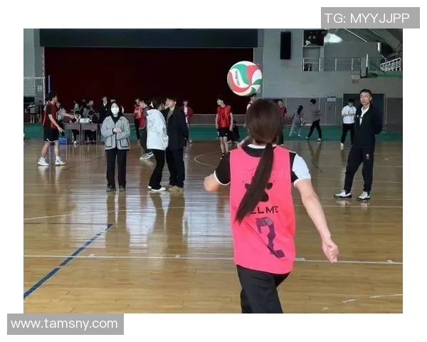 深圳排球队荣登排球节奏排行榜第七名展现出色竞技实力与团队合作精神