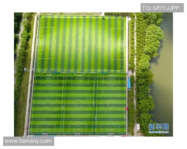 李铁足球公园是否收费及相关设施使用情况详解